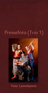 WIRBELEY Pressefoto Trio-Besetzung 1